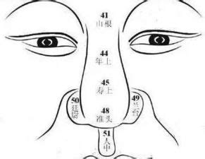 鼻子面相图解|14种鼻型图解 最全鼻子看相解读命运